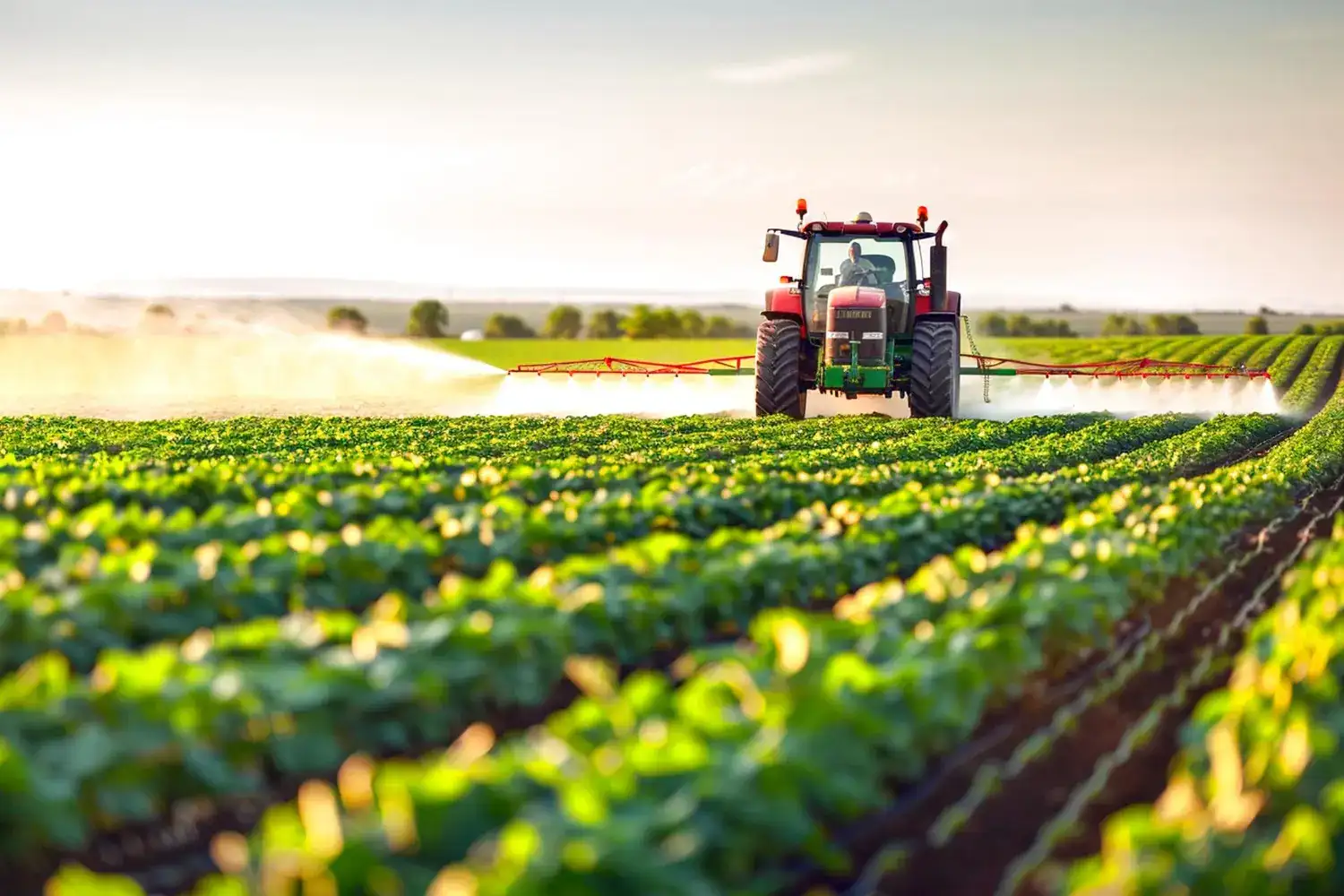 Budget 2026: Major Increase in TB Funding and Extensions to Key Farm Reliefs